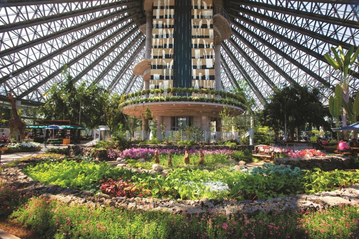 Hotel The Grang Jungmun ソギポ エクステリア 写真